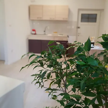Studio Luminoso Apartment
